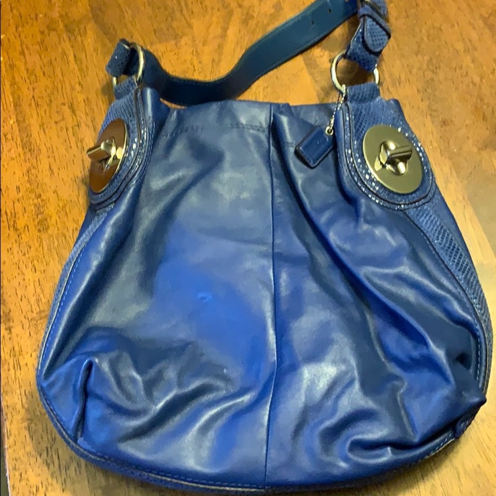 Blue purse